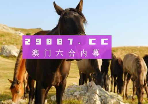 澳门管家婆一肖一码一中一2期,精选资料解析大全