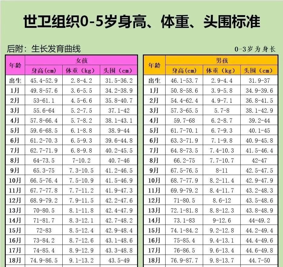 宝宝6个月头围，成长的关键指标与发育指南