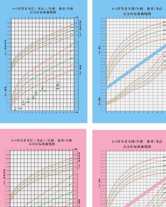 三个月小孩身高，成长路上的里程碑