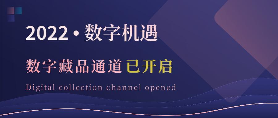 江苏阡陌纵横信息科技，引领数字时代创新浪潮的先锋