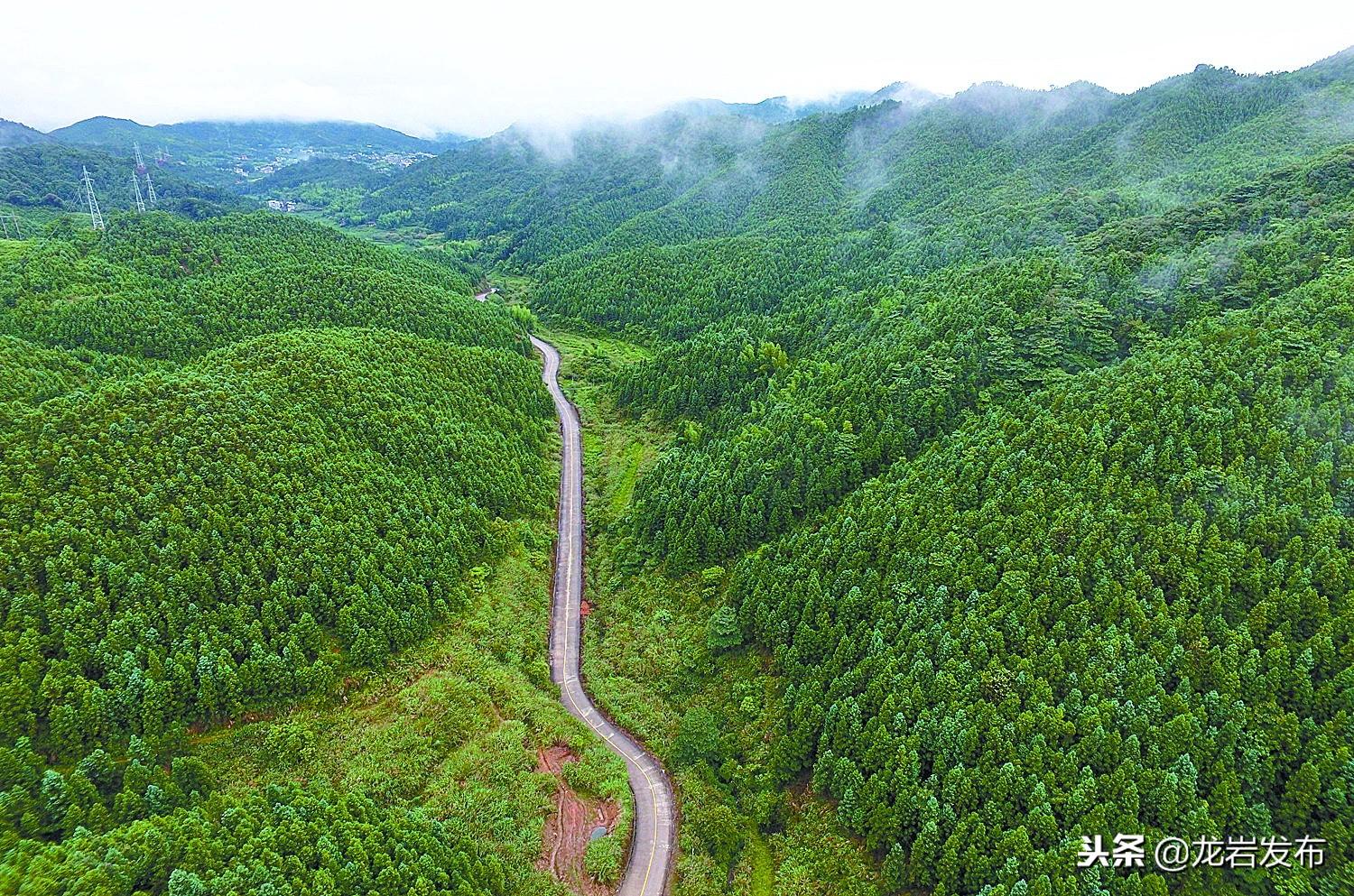 江苏科泰环境科技，引领绿色发展的科技先锋