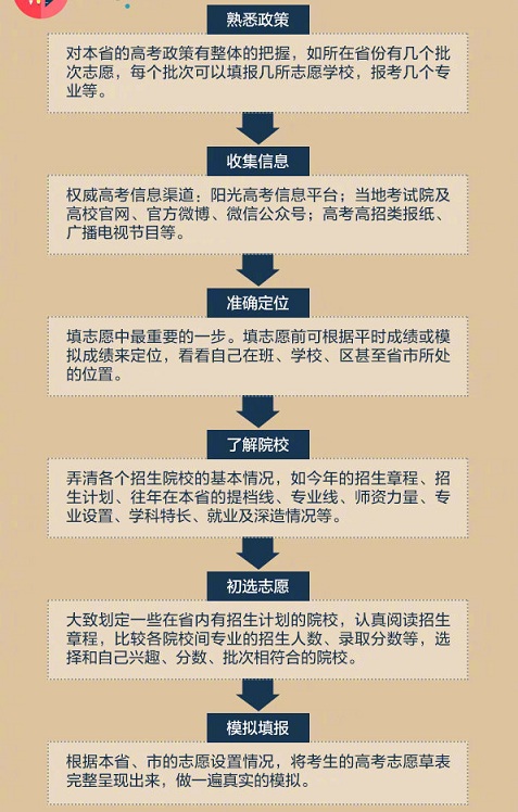 广东省高考填志愿，策略、注意事项与未来展望