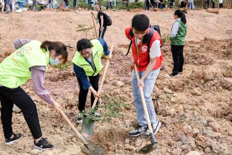 广东省招标监管网，构建透明、高效、公正的招投标环境