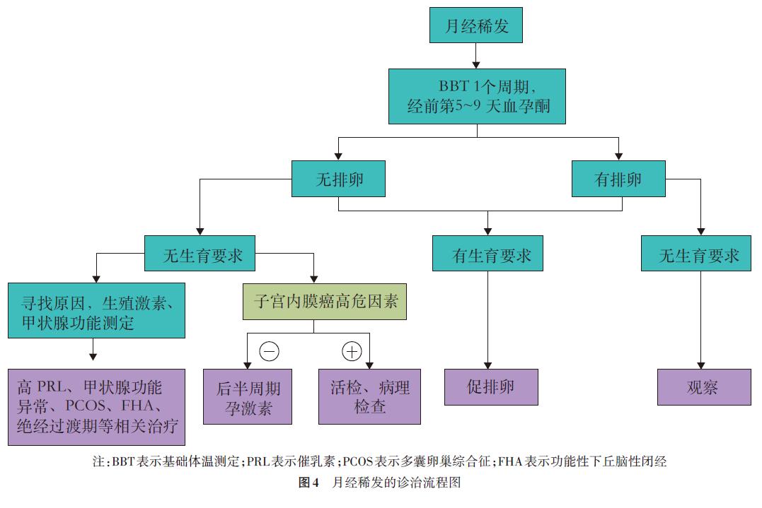 例假一个月不停，探索异常出血的奥秘与应对策略