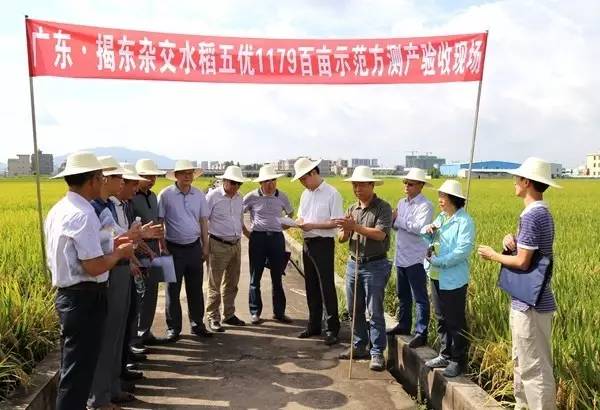 潘江与广东省农委，携手推进农业现代化