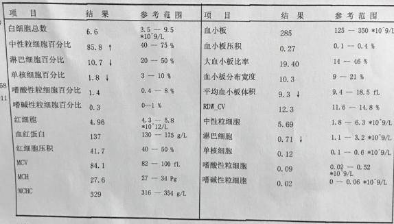 八个月宝宝白细胞正常值，了解与关注